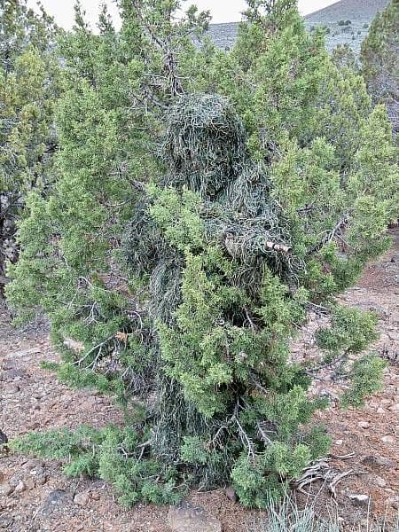 Kombat UK Adults Full 5 Piece Ghillie Camouflage Suit - Image 3